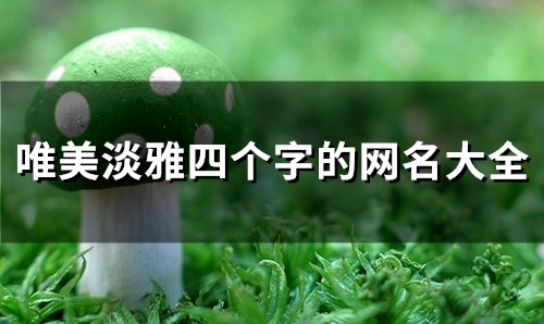 唯美淡雅四个字的网名大全(96个)