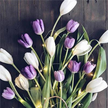 好运连连微信头像图片(共24张)