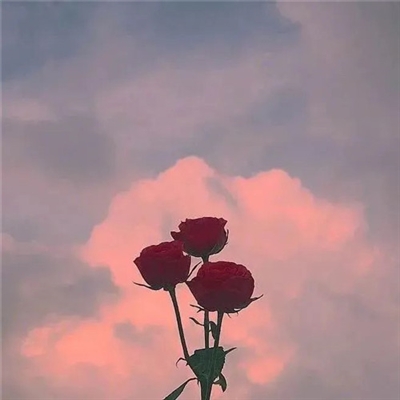 适合妈妈们用的微信头像(优选22张)