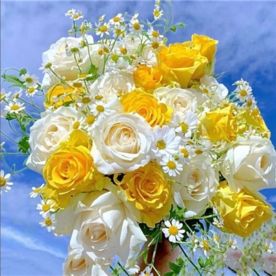 适合妈妈们用的微信头像(优选22张)