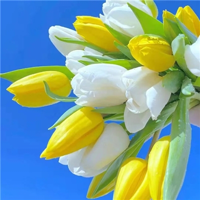 适合妈妈们用的微信头像(优选22张)