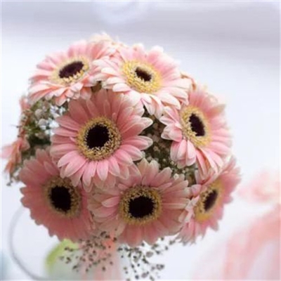 适合妈妈们用的微信头像(优选22张)