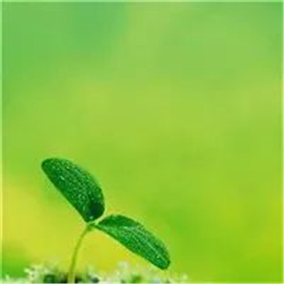 适合妈妈们用的微信头像(优选22张)