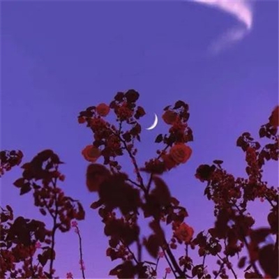 适合妈妈们用的微信头像(优选22张)