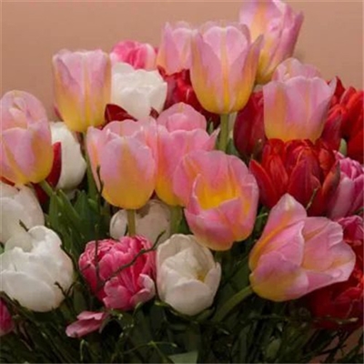 适合妈妈们用的微信头像(优选22张)