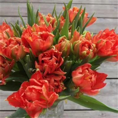 适合妈妈们用的微信头像(优选22张)