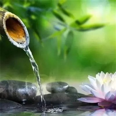 适合妈妈们用的微信头像(优选22张)