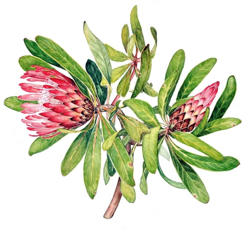 唯美的qq说说大全带图片_跟着你的脚步走遍天涯海角