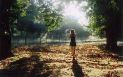 孤独一个人的伤感句子_有些路也是孤独一人去行