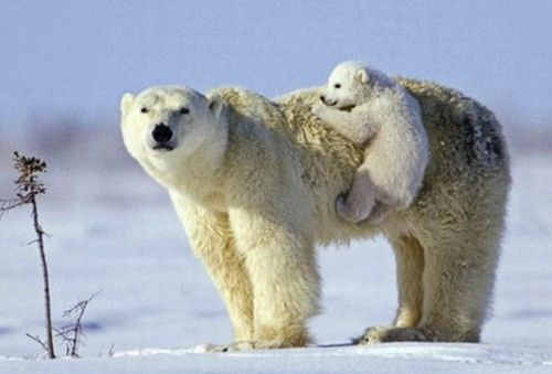 最牛45句经典人生感悟句子