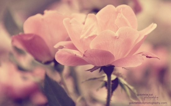 微商女人正能量的句子