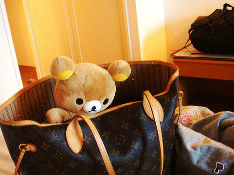 关于熊字的微信网名_想吃可爱熊的竹