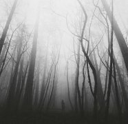 2017最伤感的个性签名_究竟要多久才会将你忘个彻