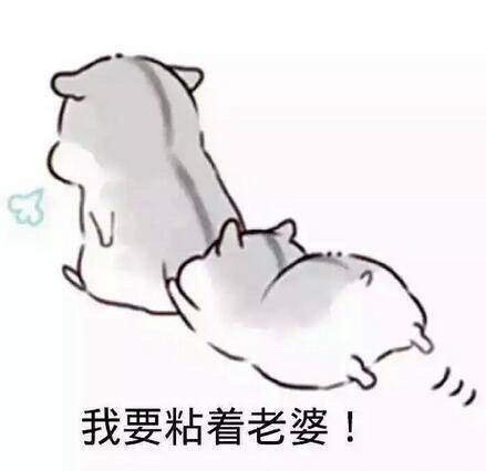 老婆我只疼你的搞笑图片 我的心里只有老婆