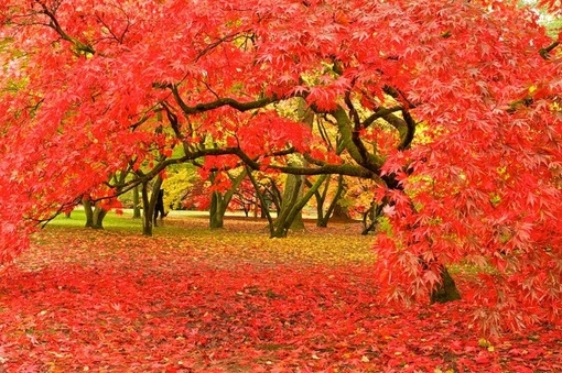 微信男生最霸气的网名_倾尽世俗的爱