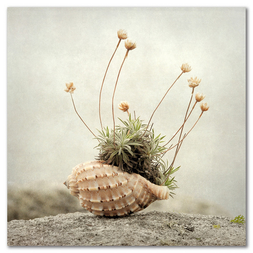 霸气帅气的男生微信网名_心又痒了