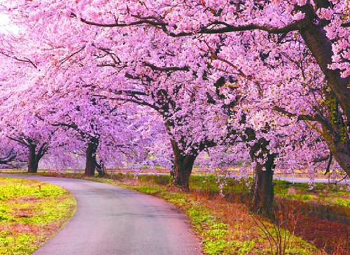 男微信霸气网名2017_霸气范儿丶L