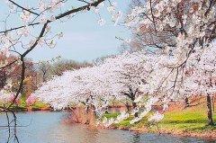 伤感的英语网名带翻译_DemonLover/魔鬼恋人