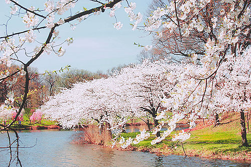 伤感的英语网名带翻译_DemonLover/魔鬼恋人