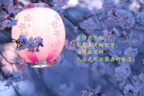 三个字的男生诗意网名_孤弃.