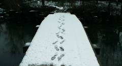 女生个性网名冷淡霸气_回忆如此如此的冷淡、