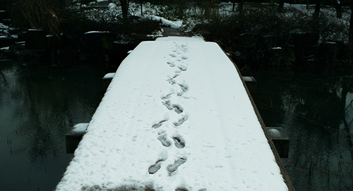 他总是对我冷淡女生网名_无法言喻的伤