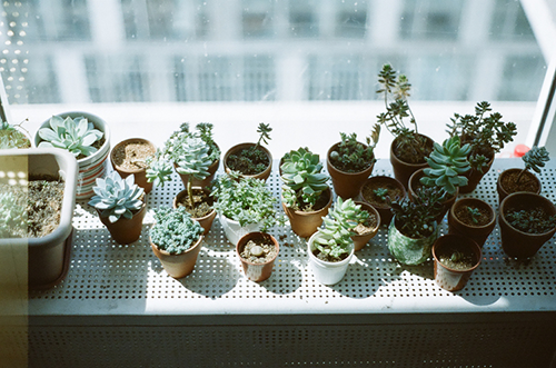 他总是对我冷淡女生网名_无法言喻的伤