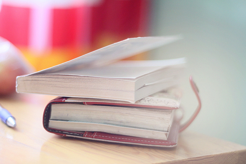 很有才的经典搞笑说说 十年树木百年树袋熊