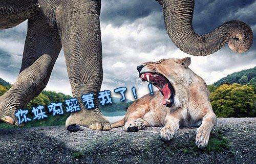 雷人经典搞笑说说 有钱男子汉没钱汉子难