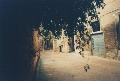 最经典搞笑说说欣赏 人动我手我拿他命