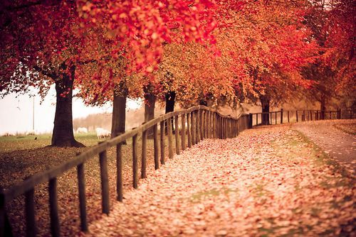 经典个性说说2017_现在的现在未来的未来