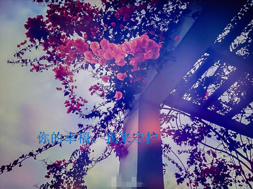 关于男人唯美伤感的爱情说说