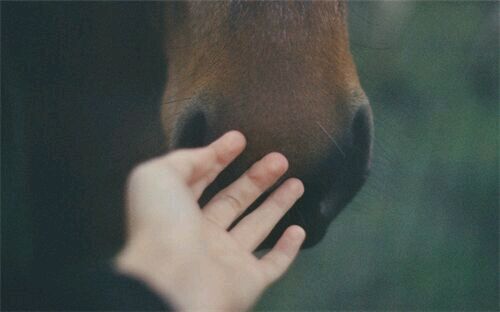 个性简洁唯美的微信网名_农村人不会唠城市嗑嗑