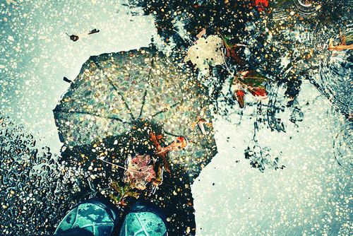 描写雨的优美句子_连雨不知春去