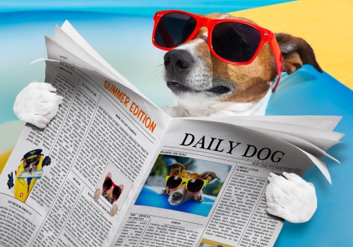 猥琐搞笑的游戏网名