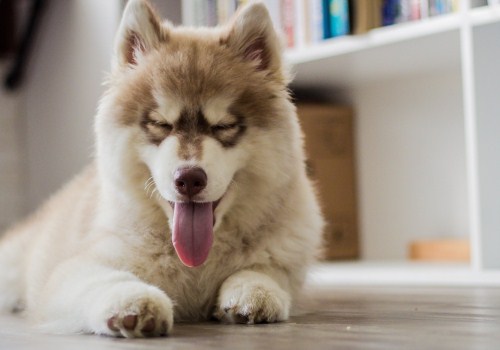 调侃非主流的搞笑说说