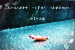 关于爱情的感人句子_感谢命运让我喜欢你