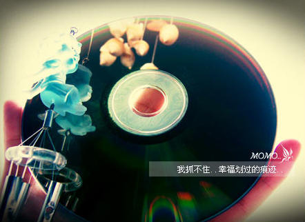 关于爱情表白的句子_爱你是我一天最重要的事