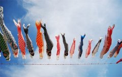 微信签名经典语句励志_有志不在年高