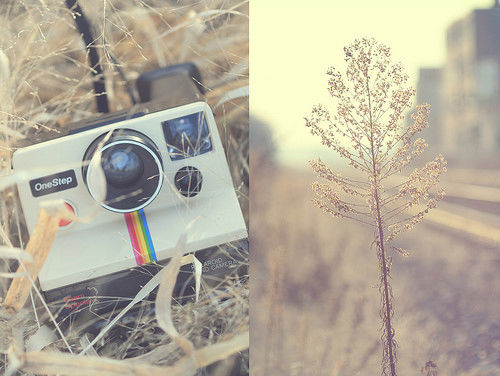 非主流最伤感的句子