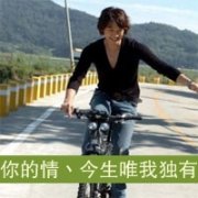 qq情侣纯文字头像大全 你的情今生唯我独有