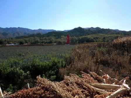 关于女生好听的游戏网名