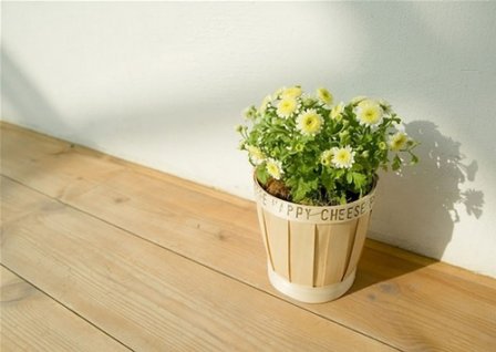 早上心情唯美句子