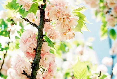 夜里睡不着的个性说说