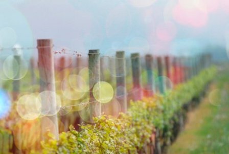 非常经典的哲理个性说说