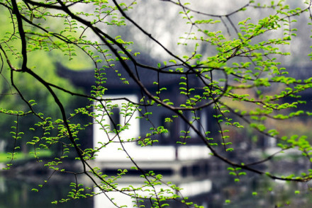 致友情的唯美句子