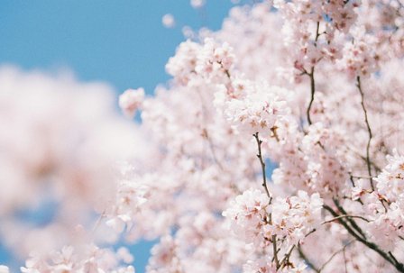 关于生活励志的句子