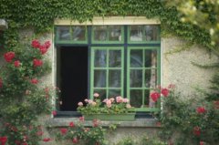 表达心情很伤感的句子_我翅膀的羽毛为你掉光