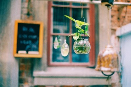 诙谐搞笑的QQ个性说说