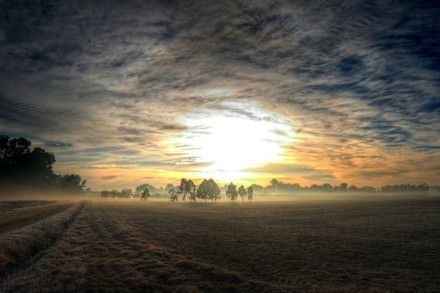 诙谐搞笑的QQ个性说说